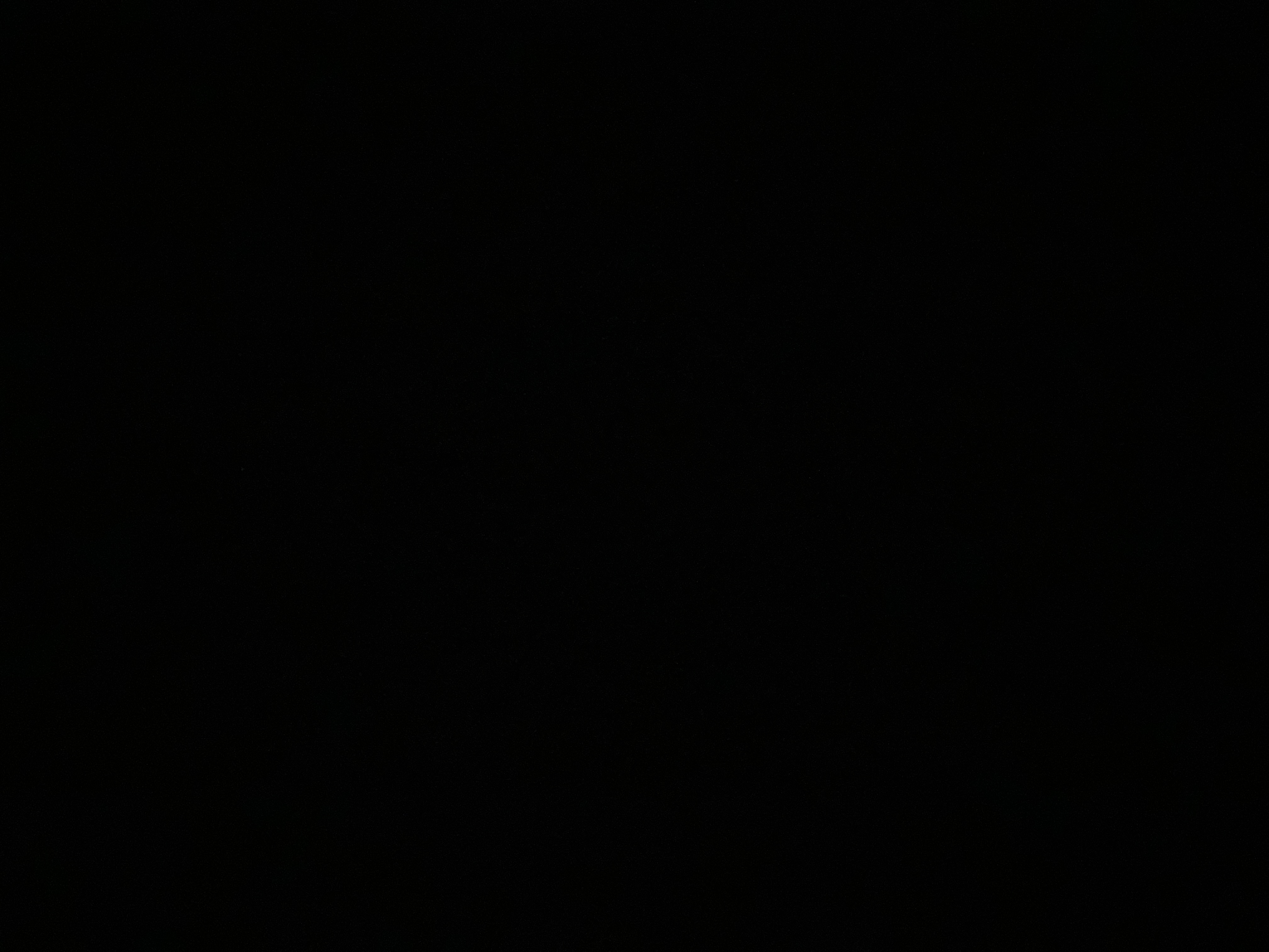 Player Profile