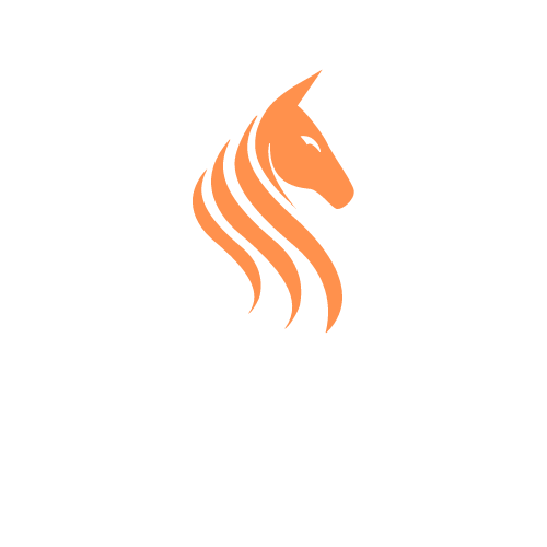 Player Profile