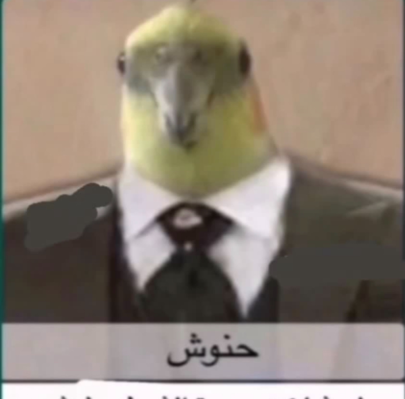 Player Profile