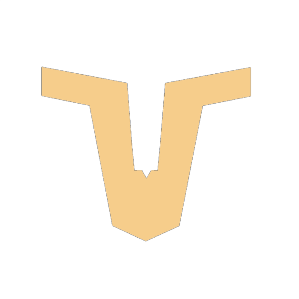 Natus Vincere