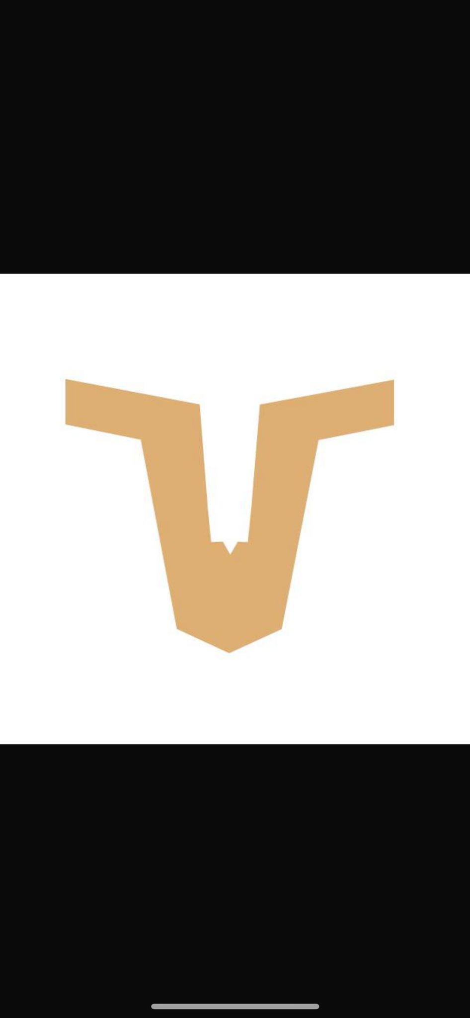Natus Vincere