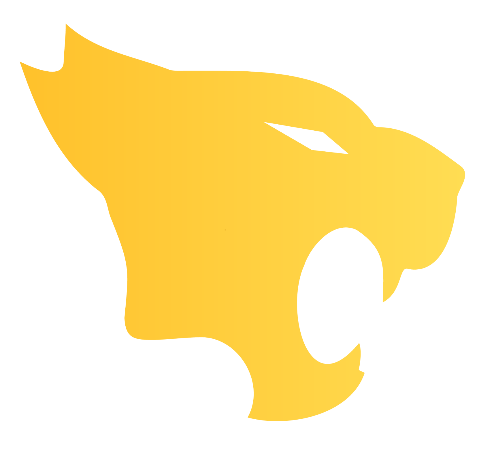 Natus Vincere