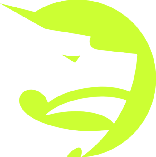 GAMAX Saudi Esports